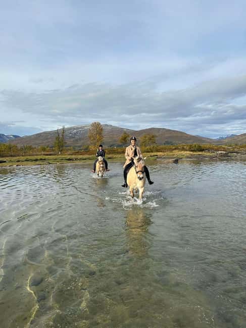 Tromsø: Horseback Riding Tour - Getting comfortable before the ride