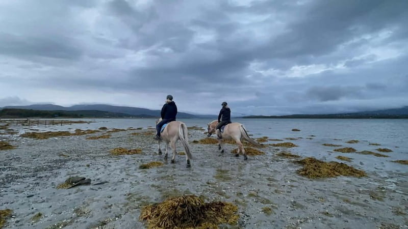 Tromsø: Horseback Riding Tour - Winter conditions and what to wear