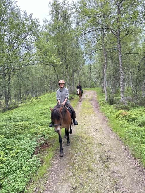 Tromsø: Horseback Riding Tour - How the $262 price measures up