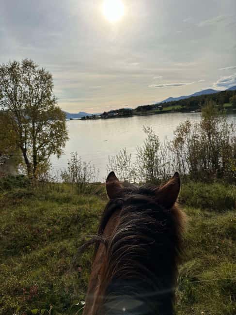 Tromsø: Horseback Riding Tour - Who should book this ride