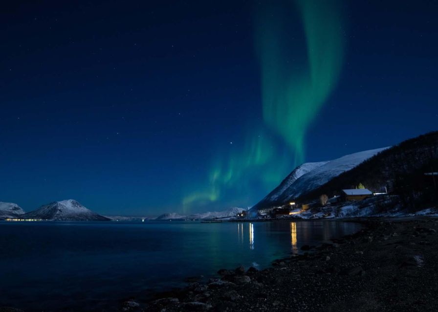 Tromsø: Lyngen Horse Winter Evening Riding Experience - Should you book the Lyngen horse ride?