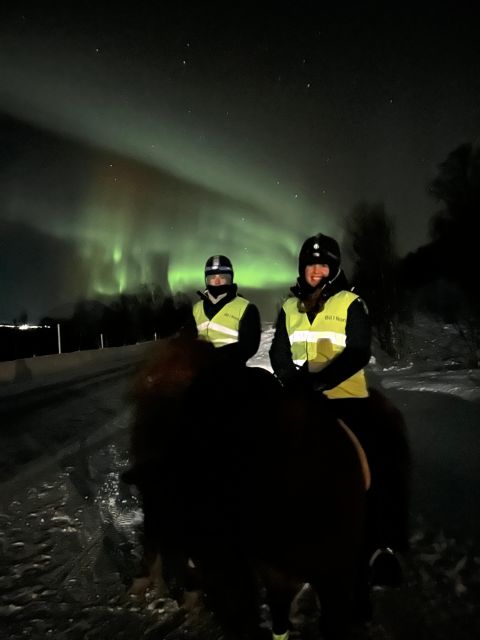 Tromsø: Lyngen Horse Winter Evening Riding Experience - Meeting the Lyngen horse at Tromsø Lyngshest
