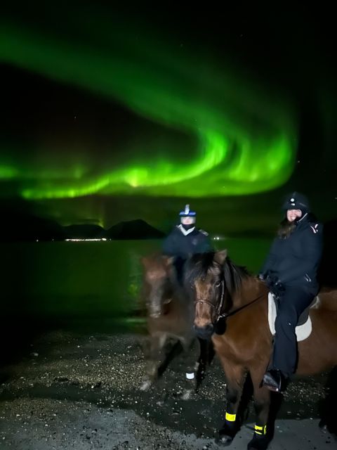 Tromsø: Lyngen Horse Winter Evening Riding Experience - What makes the possible northern lights worthwhile