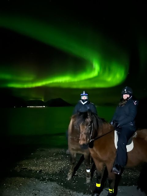 Tromsø: Lyngen Horse Winter Evening Riding Experience - Who should book this ride?