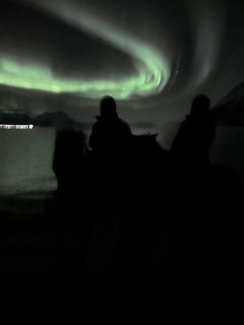 Tromsø: Lyngen Horse Winter Evening Riding Experience - Practical preparation for a comfortable evening