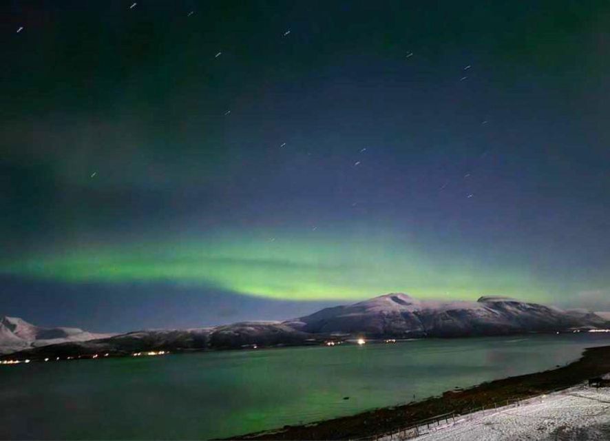 Tromsø: Lyngen Horse Winter Evening Riding Experience - A calm start matters more than speed
