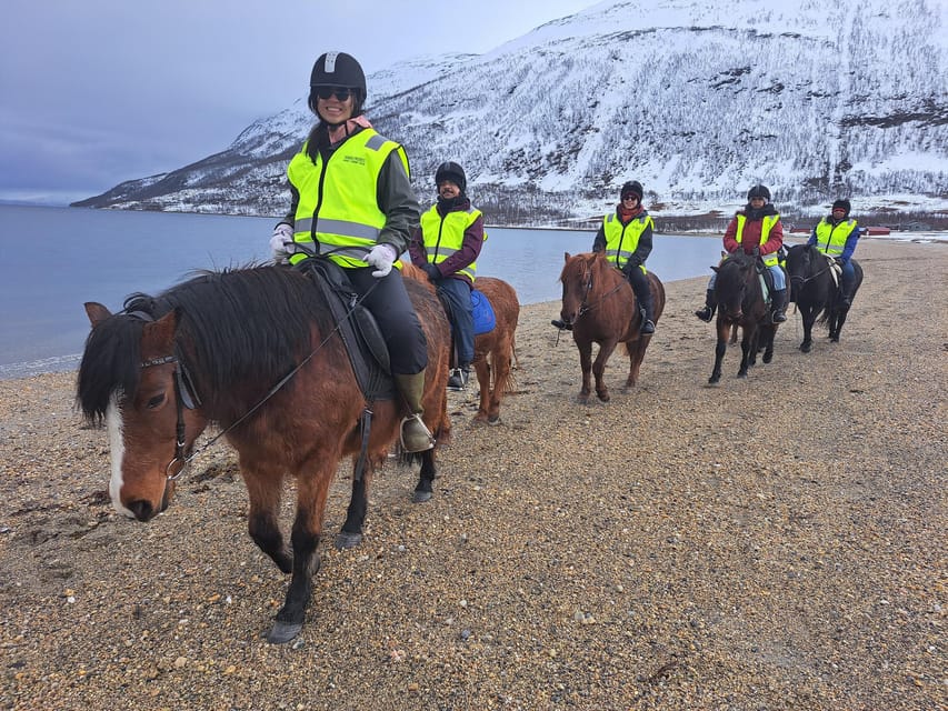 Tromsø: Lyngen Horse Winter Riding Experience - What makes the Lyngen horse special?