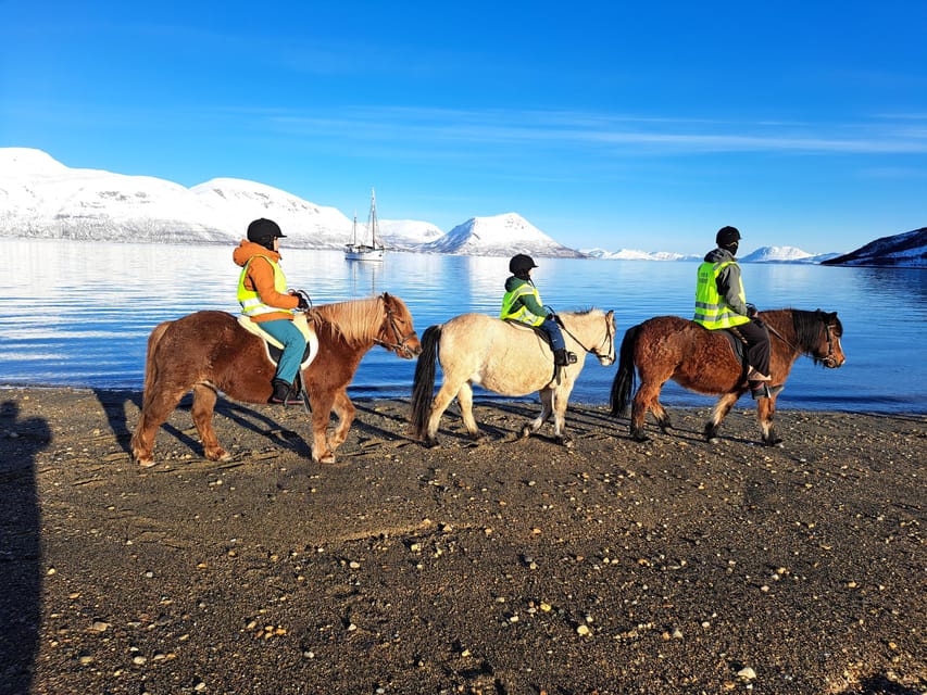 Tromsø: Lyngen Horse Winter Riding Experience - Stories from the farm and the war years