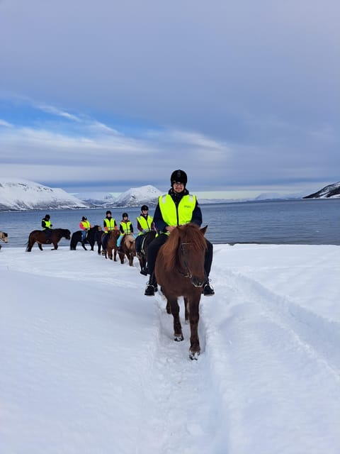 Tromsø: Lyngen Horse Winter Riding Experience - Getting to the farm