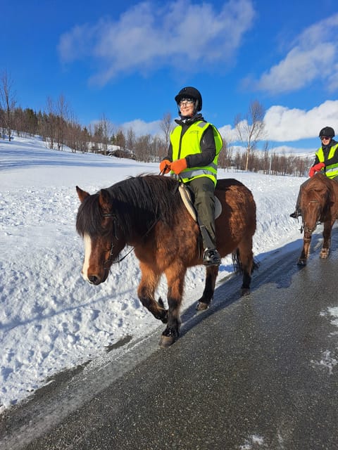 Tromsø: Lyngen Horse Winter Riding Experience - My take on the small-group format