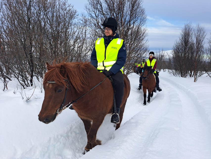 Tromsø: Lyngen Horse Winter Riding Experience - Sixty minutes beside Grøtfjord