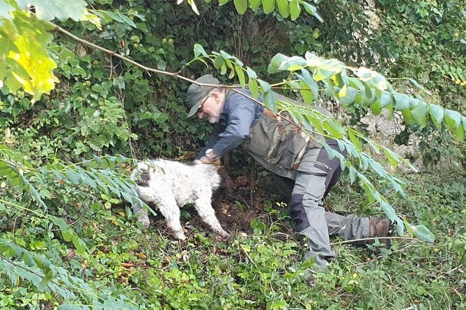 Truffle hunt, Lunch, Horse riding, a top half-day near Florence - From Piazza dei Cavalleggeri to the Tuscan hills