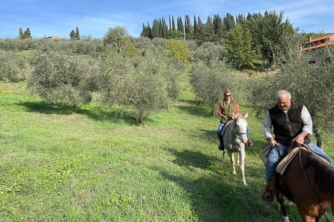 Truffle hunt, Lunch, Horse riding, a top half-day near Florence - One hour on horseback through vineyards and olive groves