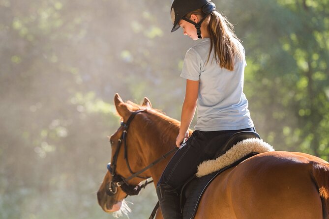 Tulum Jungle Horseback Ride + ATV + Ziplines + Cenote Combo Tour - A full jungle circuit in about five hours