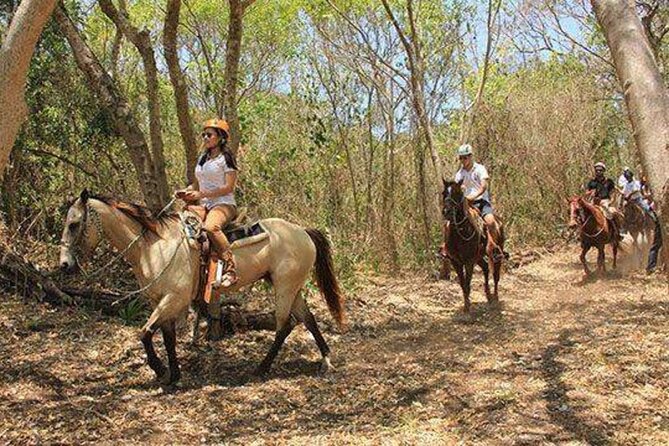 Tulum Jungle Horseback Ride + ATV + Ziplines + Cenote Combo Tour - Swimming through an underground cenote