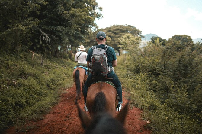 Tulum Jungle Horseback Ride + ATV + Ziplines + Cenote Combo Tour - Transport is useful, but the meeting point matters