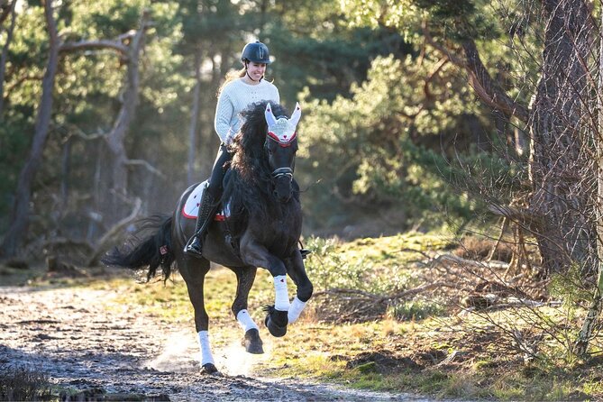 Tulum Jungle Horseback Ride + ATV + Ziplines + Cenote Combo Tour - Four ziplines and one long flight