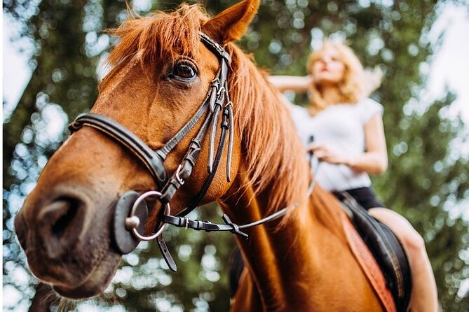 Tulum Jungle Horseback Ride + Cenote Dip & Traditional Lunch - The cenote swim is the payoff
