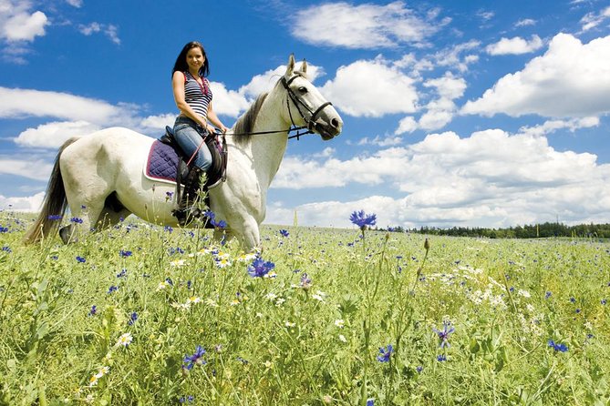 Tuscan Chianti Hills Horseback Riding Tour - What the group size means