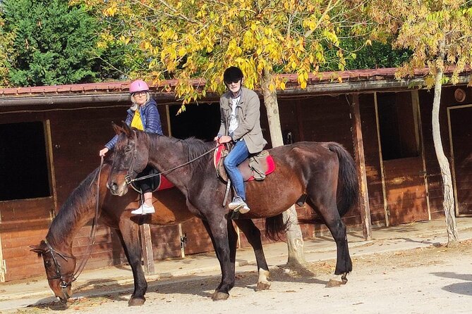 Tuscan Chianti Hills Horseback Riding Tour - Grooming and saying goodbye to the horses