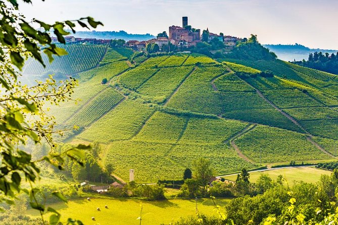 Tuscan Chianti Hills Horseback Riding Tour - Who should book this Siena horseback ride?