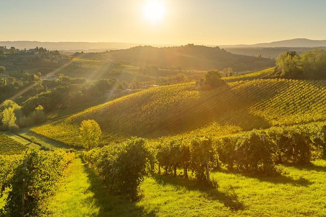 Tuscan Chianti Hills Horseback Riding Tour - Practical details that affect the value