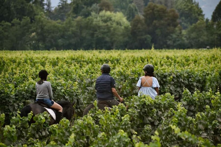 Tuscany: Horseback Riding Adventure with Lunch in a Winery - Key points to know before booking