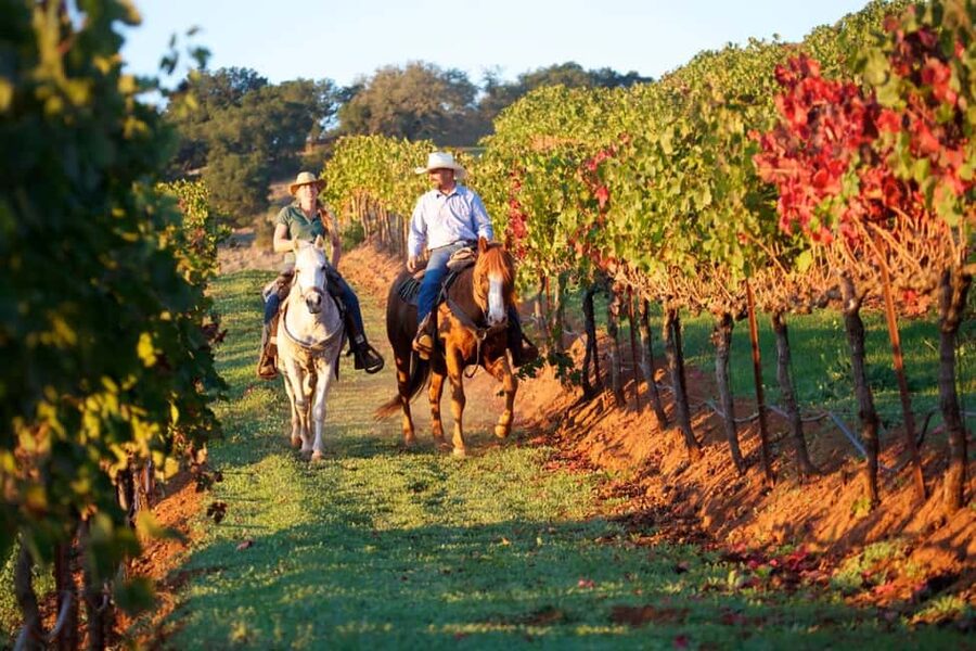 Tuscany: Horseback Riding Adventure with Lunch in a Winery - What $542 means in practical terms