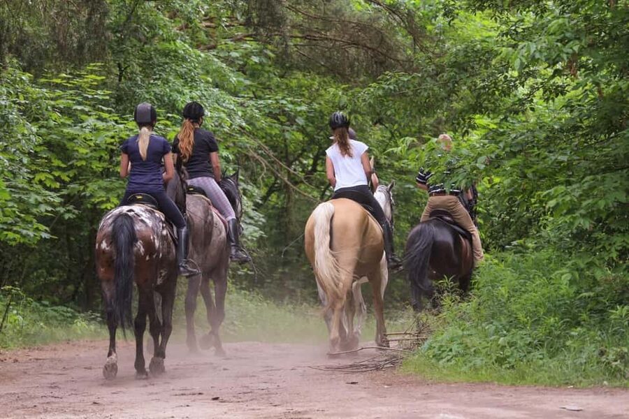 Tuscany: Horseback Riding Adventure with Lunch in a Winery - Who will enjoy this outing most