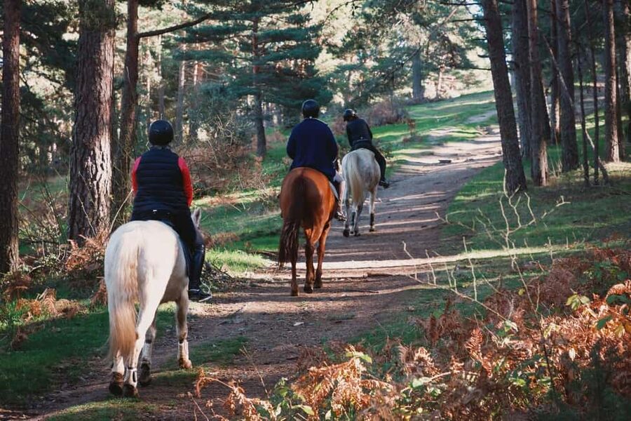 Tuscany: Horseback Riding Adventure with Lunch in a Winery - Planning your meeting point and clothing