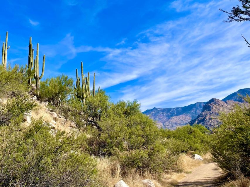 Tuscon: Rancho Cerros Horseback Riding Tout with Great Views - What the ranch adds to the outing