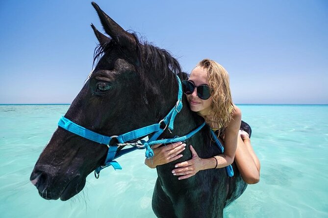 Two hours adventure Horse Riding with Transfer From Hurghada - How the value works at $14.53