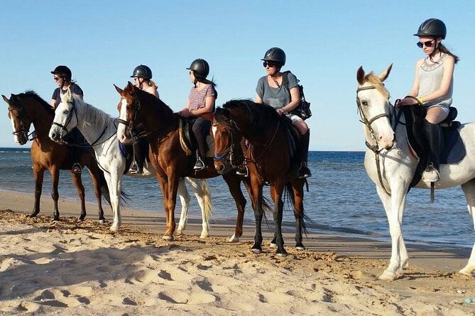 Two hours adventure Horse Riding with Transfer From Hurghada - What to bring and how to prepare