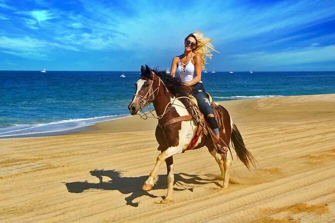 Two hours adventure Horse Riding with Transfer From Hurghada - Should you book this ride?