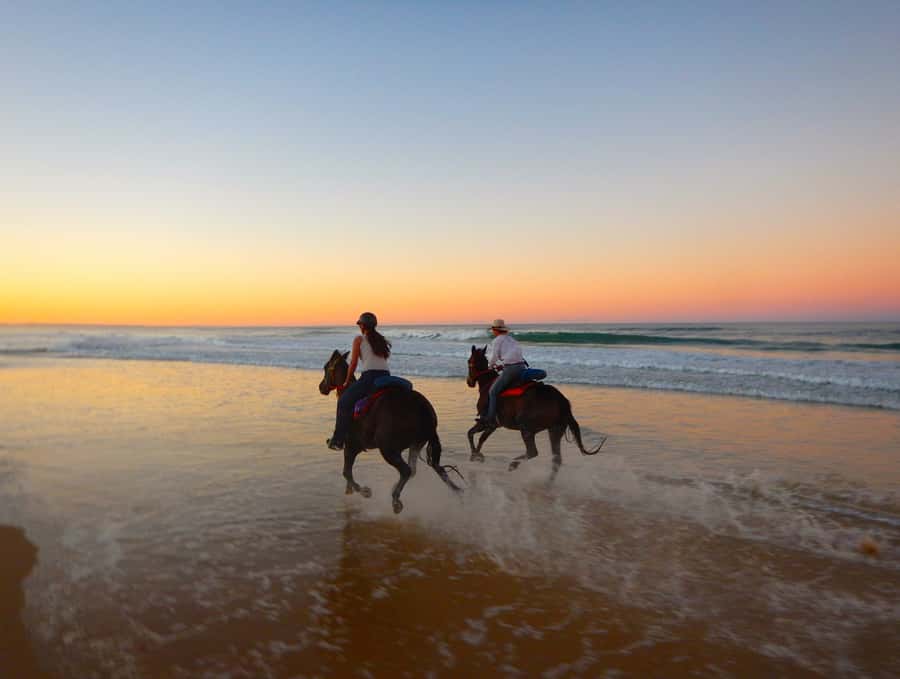 Ubud: Horse Riding, Zip-Line Tour & Waterfall Tour - Key things to know before booking