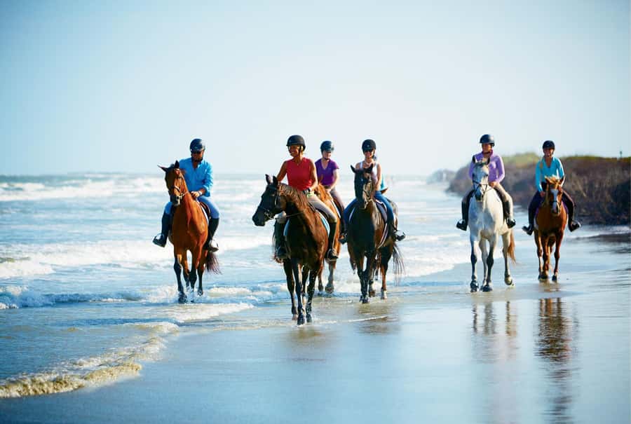 Ubud: Horse Riding, Zip-Line Tour & Waterfall Tour - Who should book this Bali combination tour