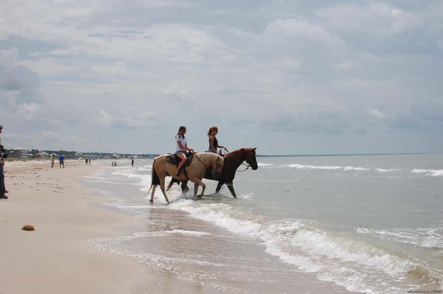 Ubud: Horse Riding, Zip-Line Tour & Waterfall Tour - FAQ