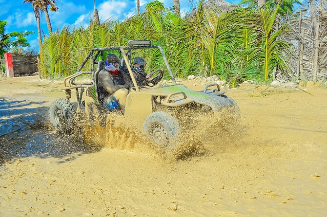 Unlimited Fun in Buggy and ATV and Horses in Punta Cana - Quick take: what makes this tour useful