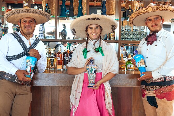 UTV, Free Horseback Ride, and Sky Bike Adventure Combo - From desert canyons to Playa Migrino