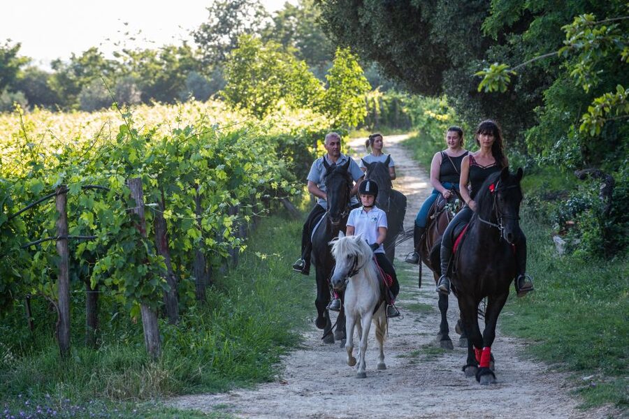 Valdichiana: Horseback Riding Tour with Tuscan Picnic - A Slow Ride Through the Valdichiana Hills
