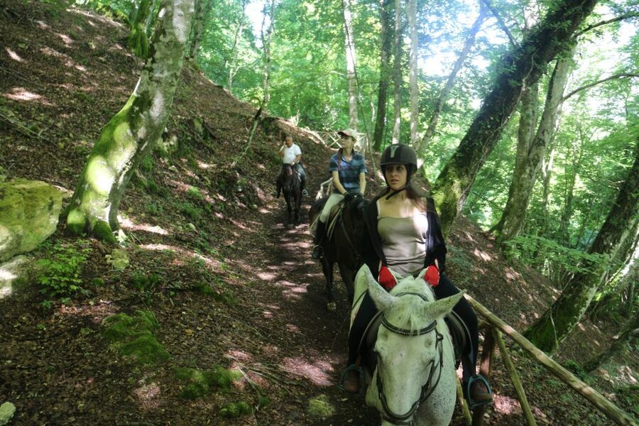 Valdichiana: Horseback Riding Tour with Tuscan Picnic - Stories That Give the Countryside Meaning