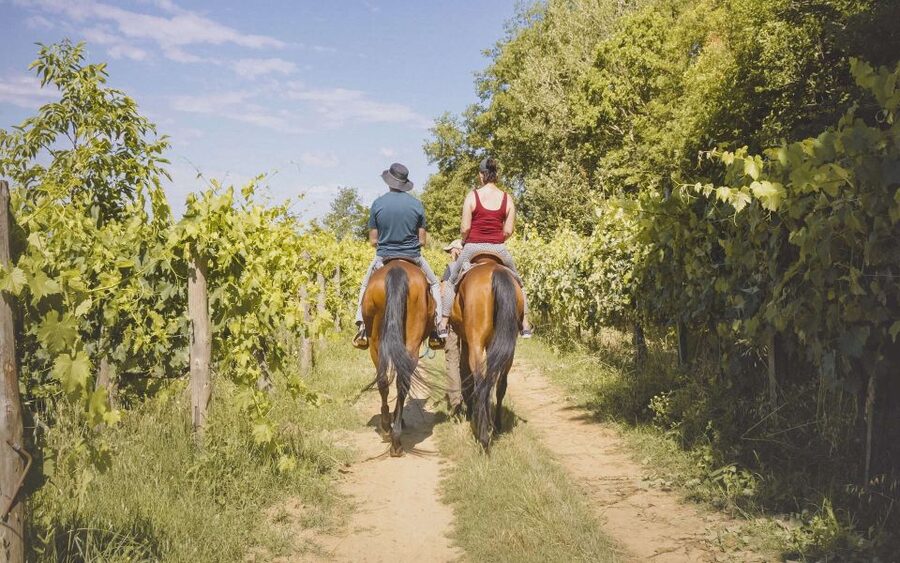 Valdichiana: Horseback Riding Tour with Tuscan Picnic - Who Will Enjoy This Ride Most?