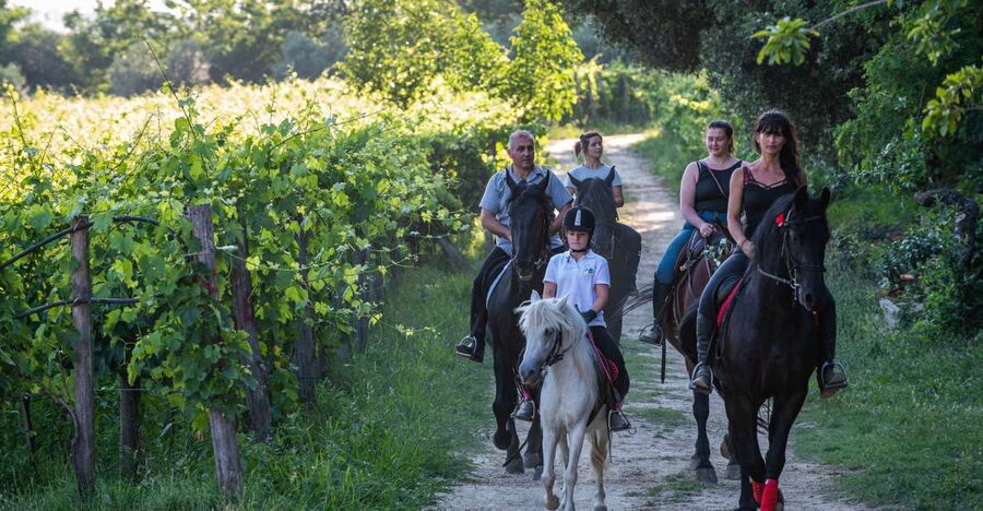 Valdichiana: Horseback Riding Tour with Tuscan Picnic - Two Hours Beside Vineyards and Fields