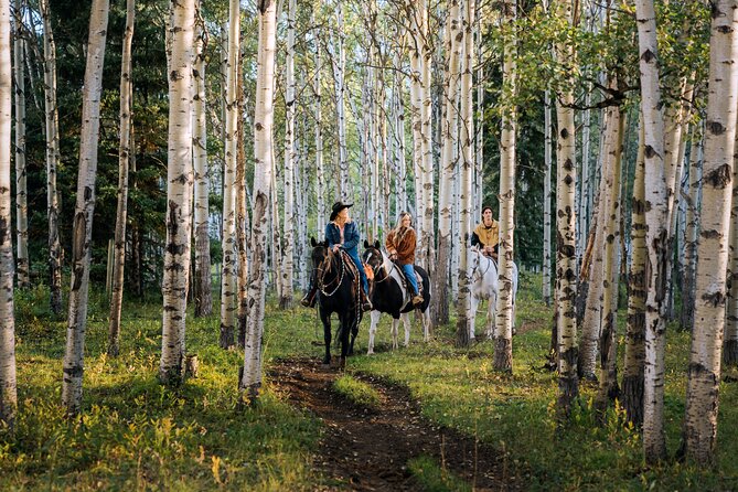 Valley Vista 1.5 Hour Horseback Trail Ride in Kananaskis - Why this ride works as a Kananaskis introduction