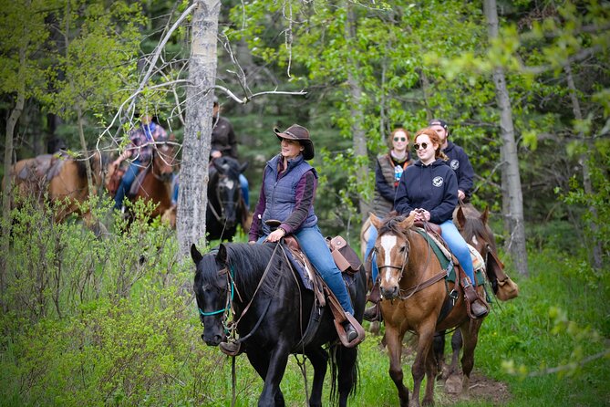 Valley Vista 1.5 Hour Horseback Trail Ride in Kananaskis - Riding near Boundary Ranch’s buffalo herd