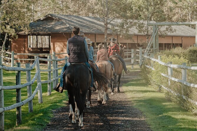 Valley Vista 1.5 Hour Horseback Trail Ride in Kananaskis - Guides, horses, and the comfort question