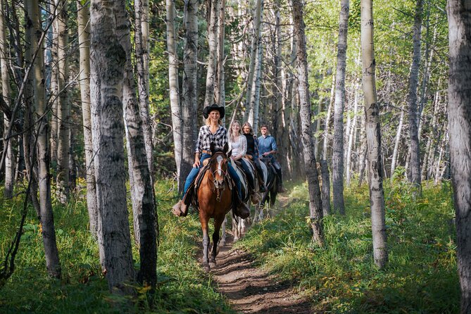 Valley Vista 1.5 Hour Horseback Trail Ride in Kananaskis - Starting at Boundary Ranch on Guinn’s Road