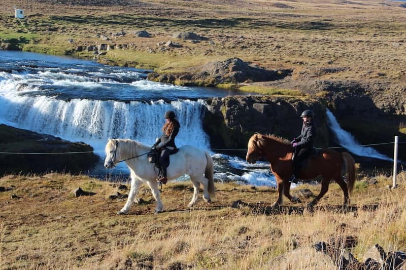 Varmahlid: Viking Horse Riding Tour - Key points at a glance