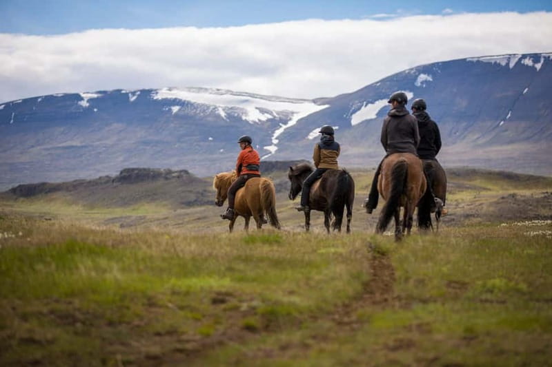Varmahlid: Viking Horse Riding Tour - Why this Varmahlíð ride feels different