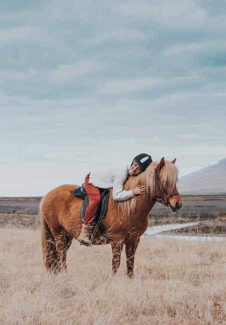 Varmahlid: Viking Horse Riding Tour - Getting comfortable with an Icelandic horse